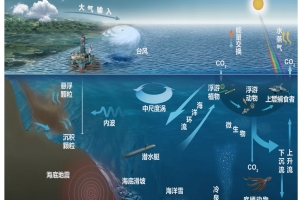 中國(guó)科學(xué)院南海海底觀測(cè)子網(wǎng)項(xiàng)目可行性研究報(bào)告.jpg